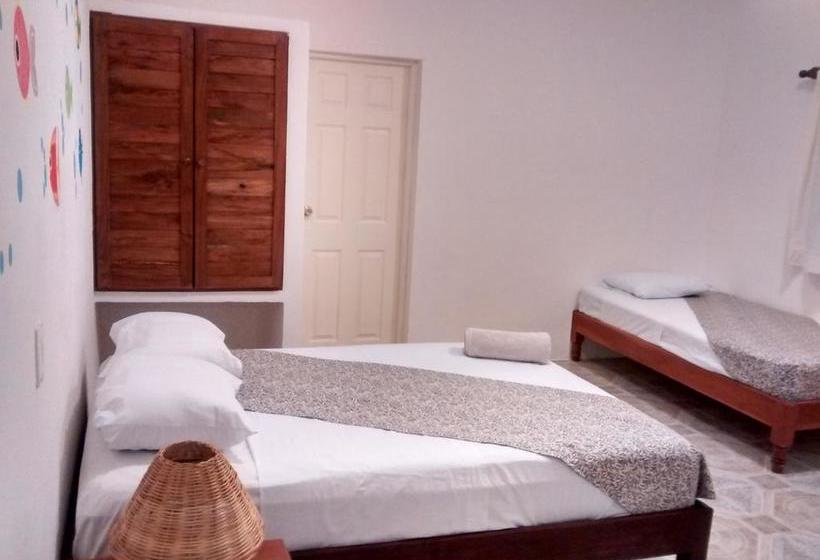 Fotos del hotel Posada Gota De Sal Tulum:  9