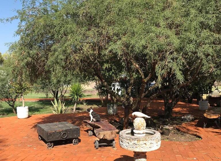 Fotos del hotel Agave Azul:  3