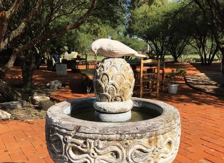 Fotos del hotel Agave Azul:  5