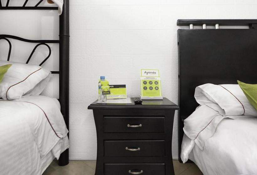 Fotos del hotel Normandia Boutique:  3