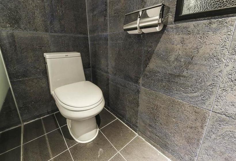 Fotos del hotel Western River:  6