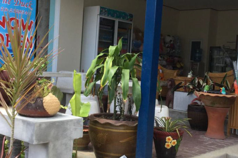 Fotos del hotel The Duck:  7