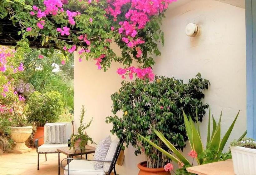 Fotos del hotel The Urban Villa Boutique   Rural House:  3