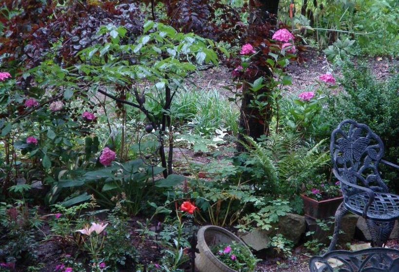 Fotos del hotel Down Home B&b:  4