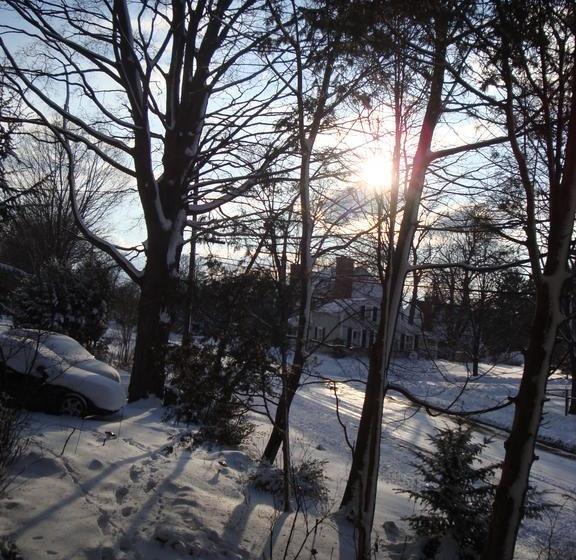 Fotos del hotel Down Home B&b:  19