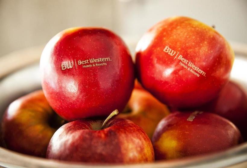 Fotos del hotel Best Western Loftstyle Hotel Stuttgart  Zuffenhausen:  5