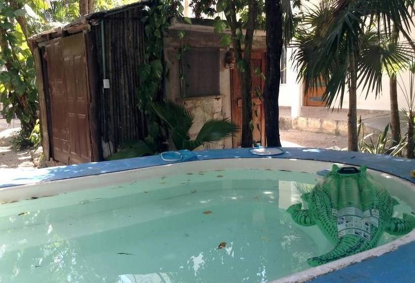 Fotos del hotel Tulum Iguanas:  2