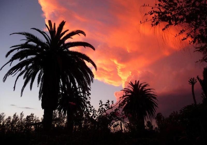 Fotos del hotel The Colonial On Arundel:  5