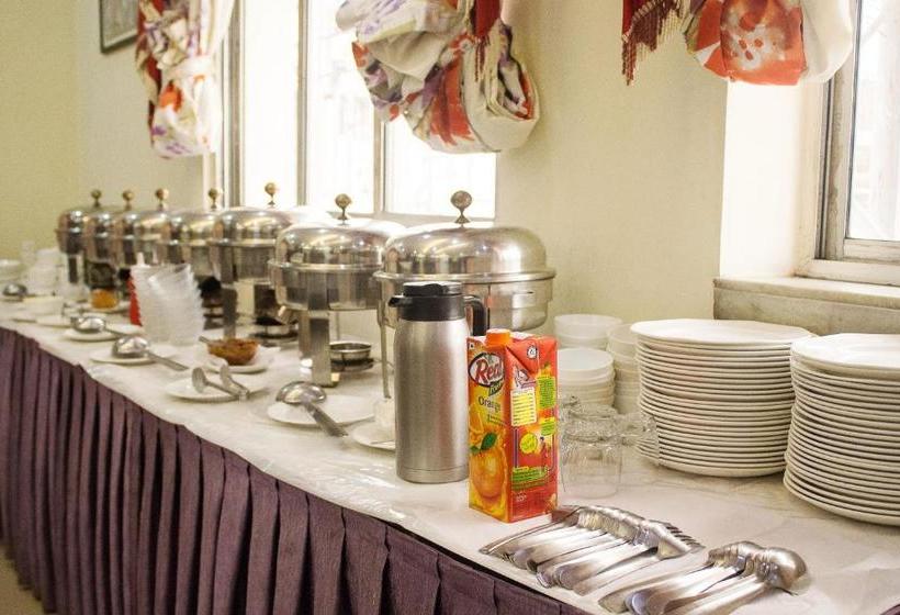 Fotos del hotel Oyo 988 Hotel Metropolis Inn:  12