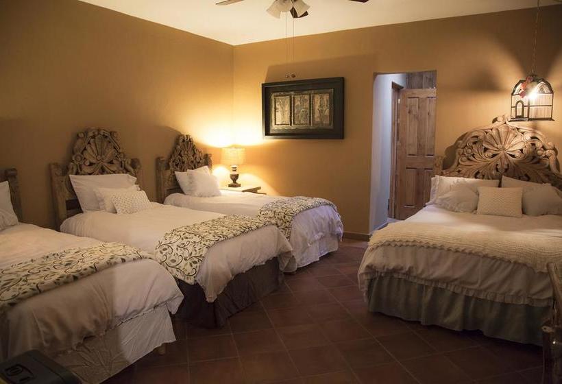 Fotos del hotel Tadeo Inn Bed & Breakfast:  20