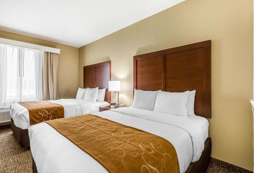 Fotos del hotel Comfort Suites Houston I45 North:  23