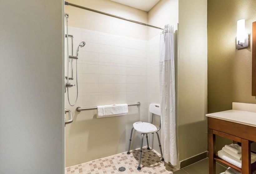 Fotos del hotel Comfort Suites Houston I45 North:  15