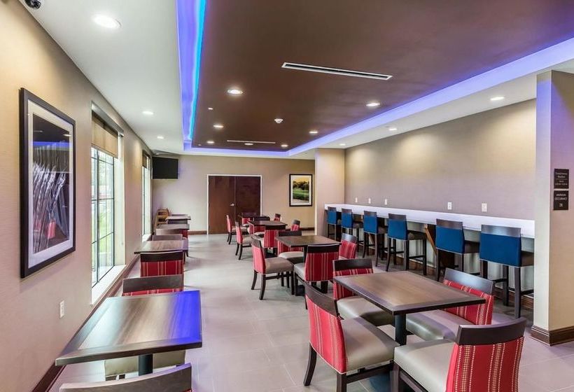 Fotos del hotel Comfort Suites Houston I45 North:  12