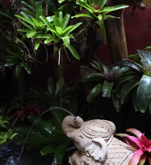 Fotos del hotel De Origin:  7