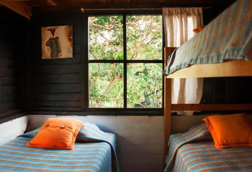 Fotos del hotel Casa De Piedra:  25