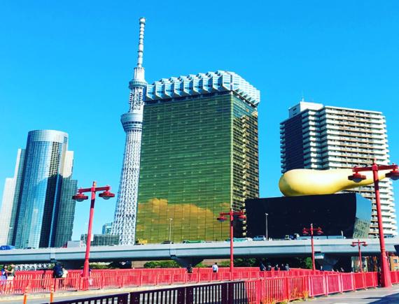 Fotos del hotel Tokyo Inn Sakura An:  10