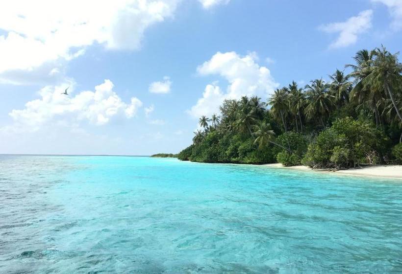 Fotos del hotel Siesta Beach:  7