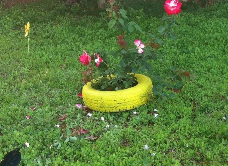 Fotos del hotel Triton:  21