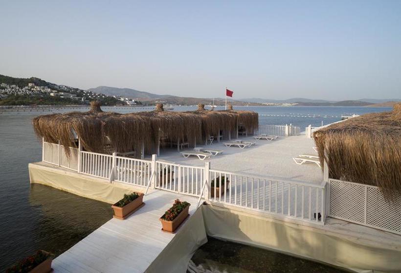 Fotos del hotel Club Sardunya:  9