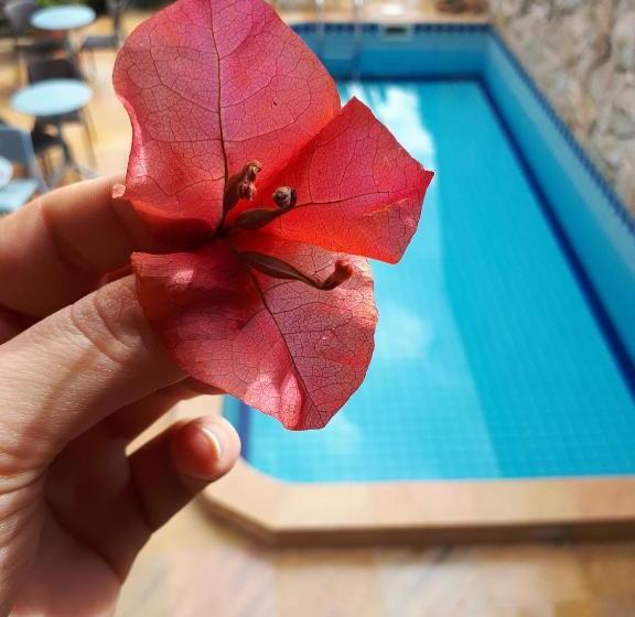 Letto Hotel Jurerê Guest House