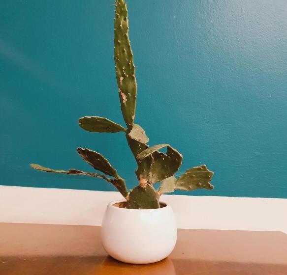 Fotos del hotel Sapa New Orient:  8