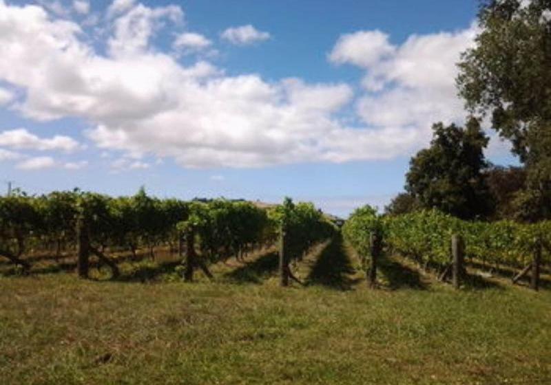 Fotos del hotel Meadowood Country House:  3