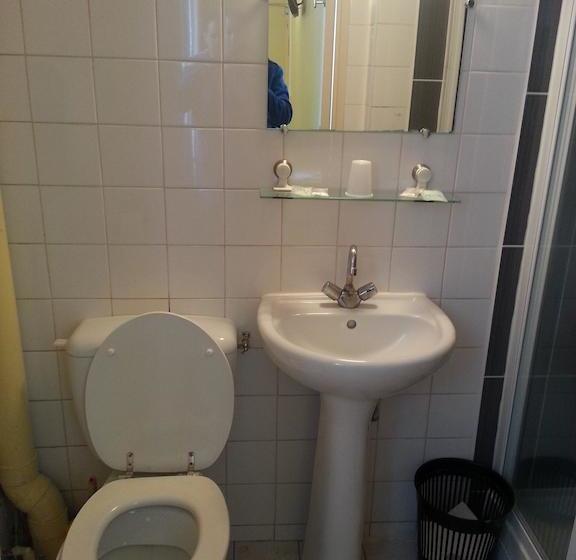 Fotos del hotel Hôtel De Nantes:  9