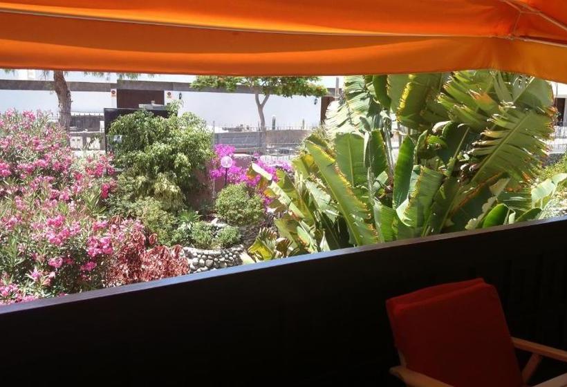 Fotos del hotel Club Canario:  14