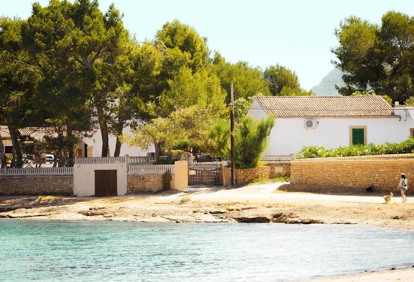 Fotos del hotel Panoramic Alcudia:  14