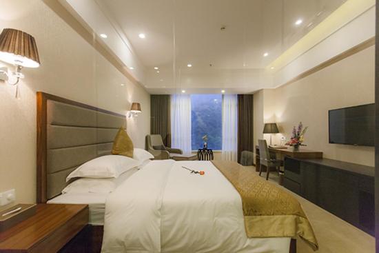 Fotos del hotel Golden Palm:  15