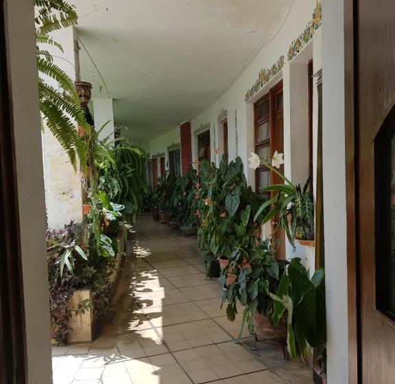 Fotos del hotel Villa Lourdes:  14
