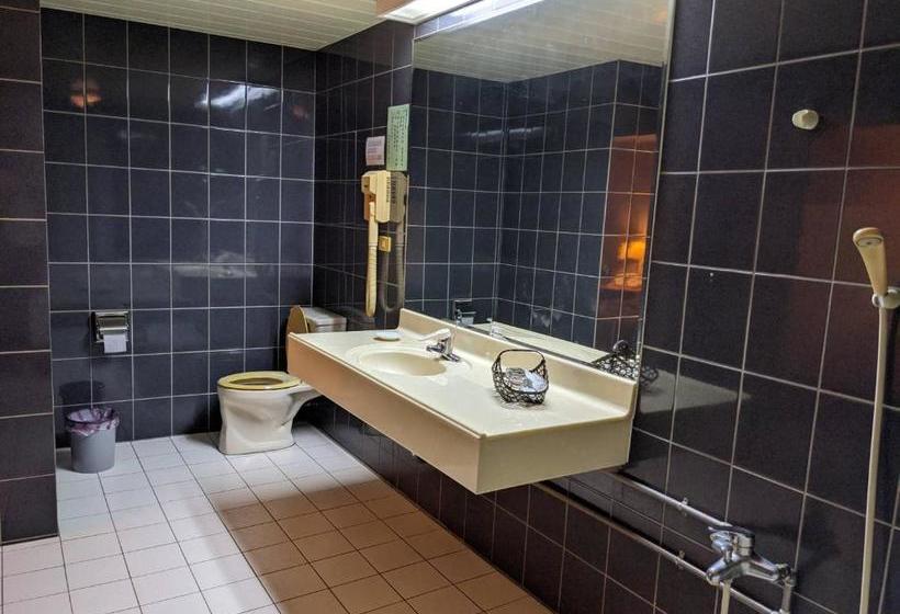 Fotos del hotel Kevin Business:  9