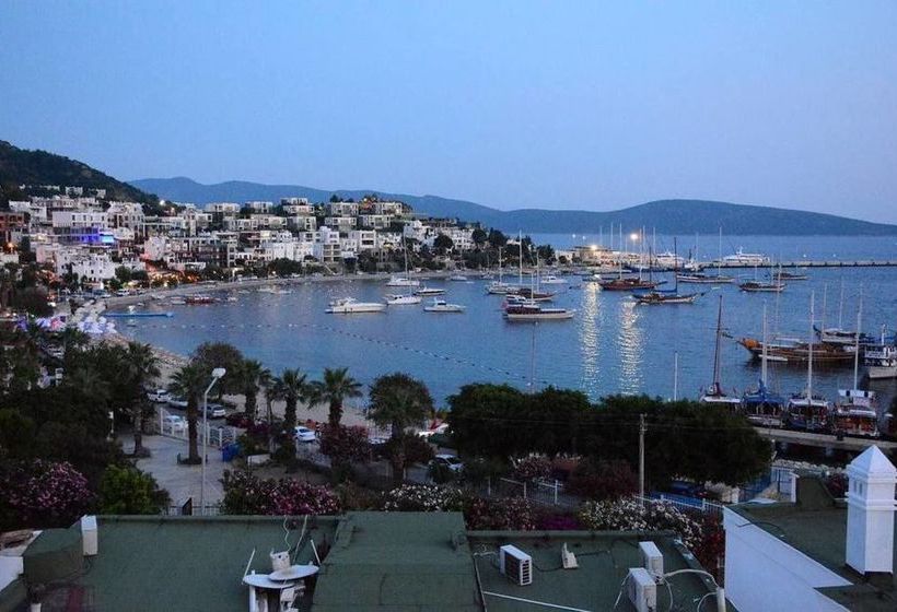 Fotos del hotel Angora:  14