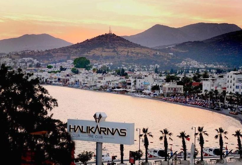 Fotos del hotel Angora:  15