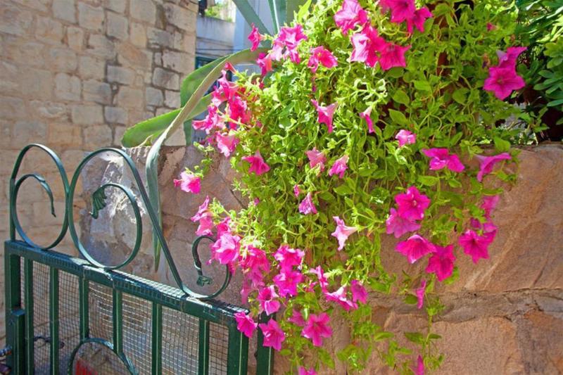 Fotos del hotel Apartment Margarita:  6