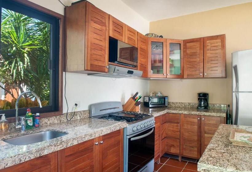 Fotos del hotel Casa Anita:  4