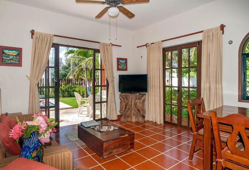 Fotos del hotel Casa Anita:  7