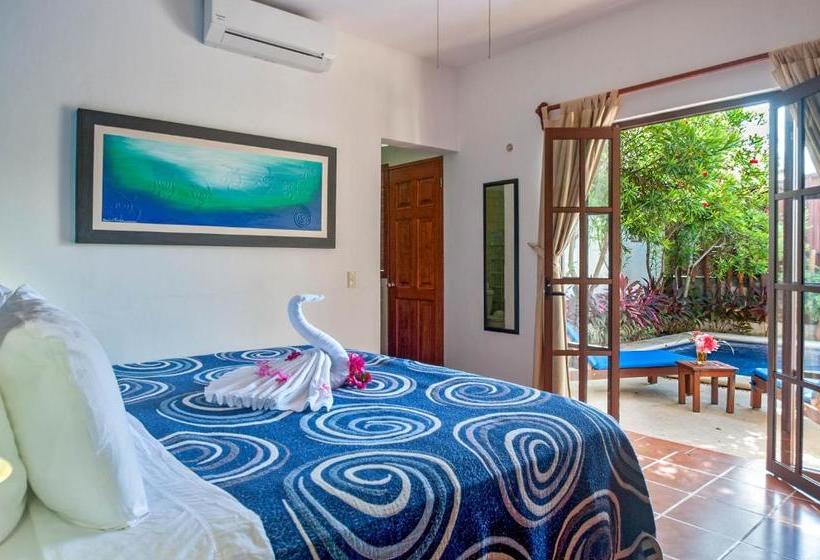 Fotos del hotel Casa Anita:  13