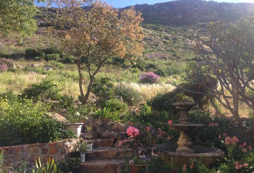 Fotos del hotel Tranquility Guest House:  8