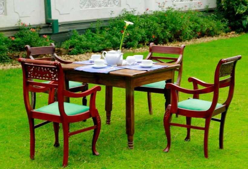 Fotos del hotel Green Forest:  7