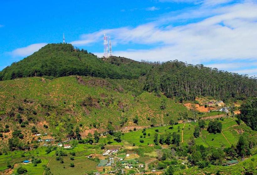 Fotos del hotel Green Forest:  5