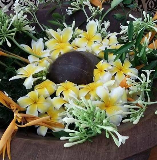 Fotos del hotel Utu One Bed & Breakfast:  7