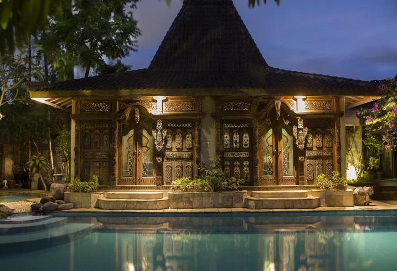 Fotos del hotel Citrus Tree Villas - Layla:  2