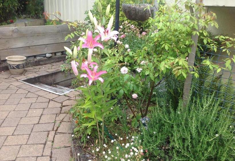 Fotos del hotel Te Anau Lakefront B&b:  9