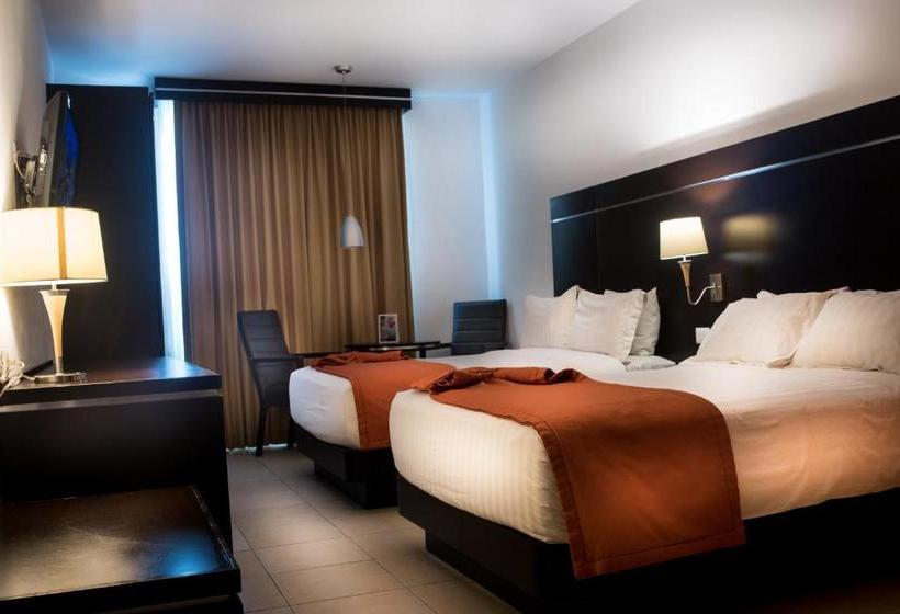 Fotos del hotel Oliba:  17