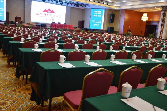 Fotos del hotel Yinruilin International:  19