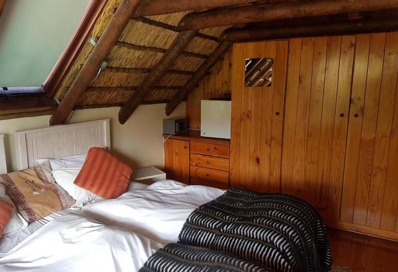 Fotos del hotel The Beautiful South Guesthouse:  7