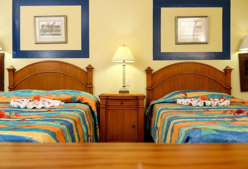 Fotos del hotel Exxtraordinary Resort  Bellamar:  13