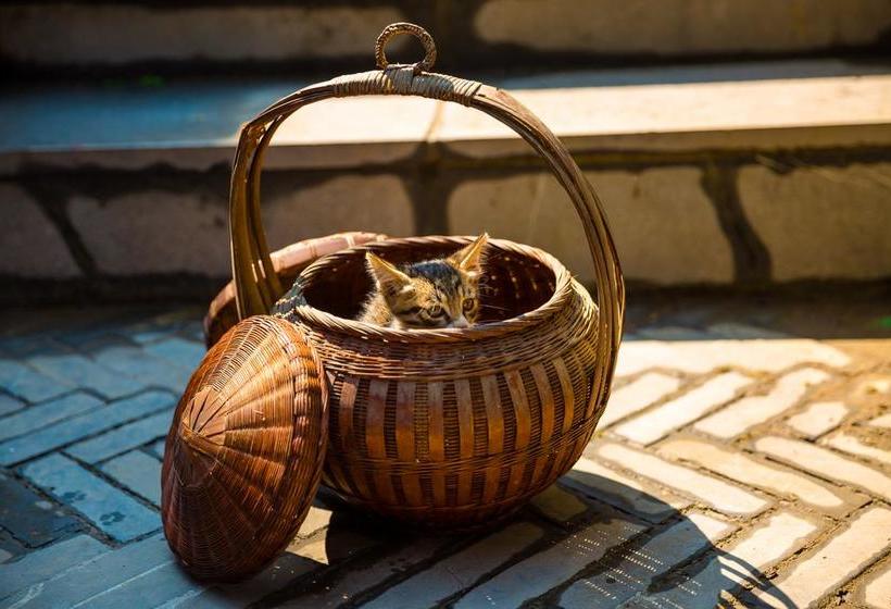 Fotos del hotel Yangshuo West Street Residence:  6