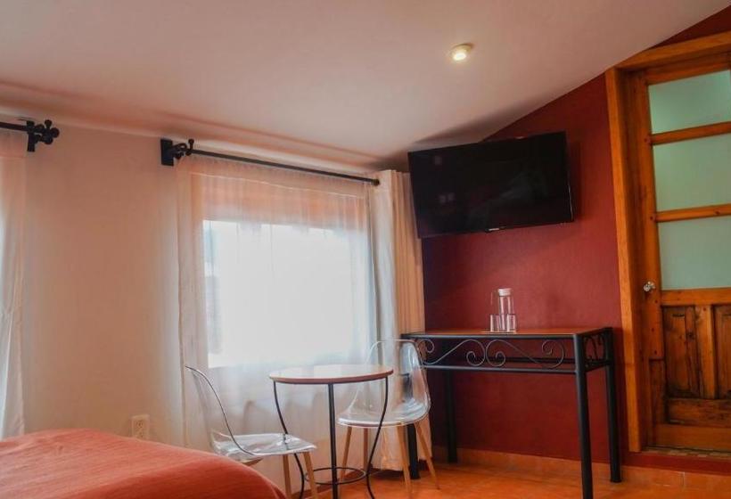 Fotos del hotel Casa Margarita:  24